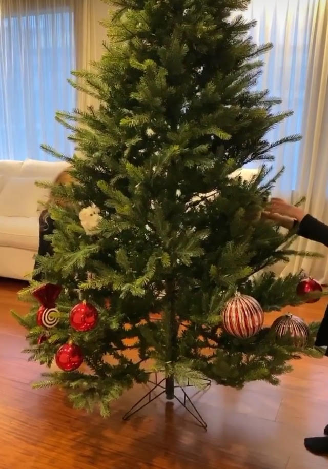 L'albero di Natale di casa Hunziker-Trussardi, pronto per essere decorato dalle piccole Sole e Celeste